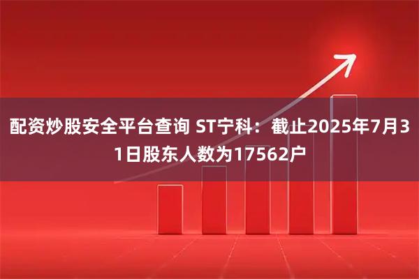 配资炒股安全平台查询 ST宁科：截止2025年7月31日股东人数为17562户
